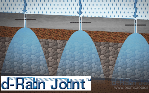 d-Rain Joint ® - Désimperméabilisation des sols