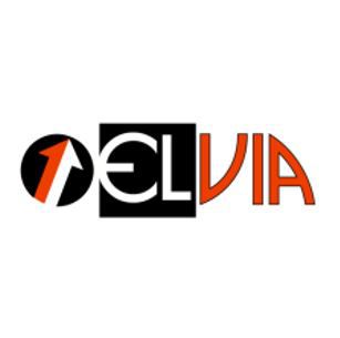 Logo Elvia Group