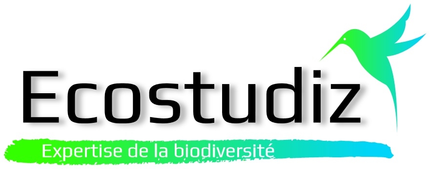Logo ECOSTUDIZ