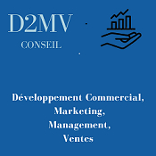Logo D2MV CONSEIL