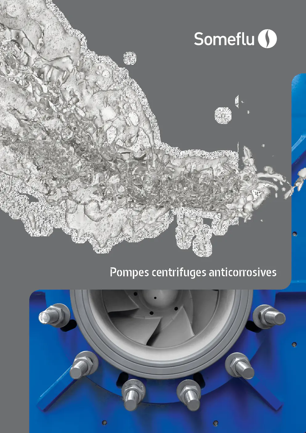 Image du document pdf : brochure des pompes centrifuges anticorrosives someflu  