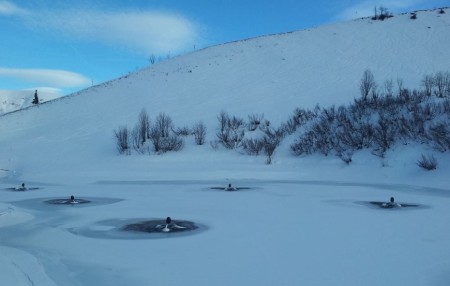 SUNGO (Aérateur Solaire : Brasseur autonome) - AQUAGO® - FranceEnvironnement